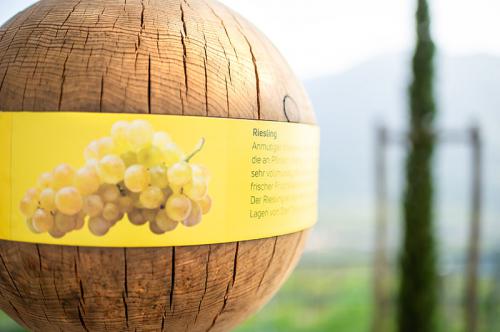 Wine-themed trail in Dorf Tirol