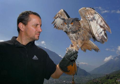 Dimostrazione di volo Centro Avifauna – Castel Tirolo