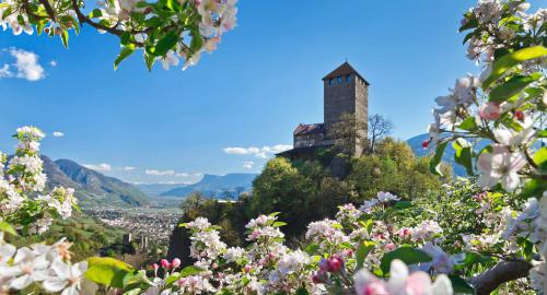 Schloss Tirol